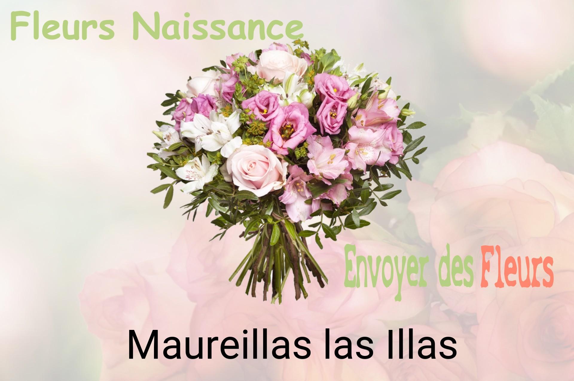 Bouquet de fleurs de naissance livré à Maureillas-las-Illas